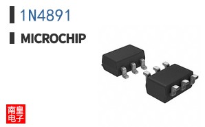 1N4891