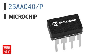 25AA040/P