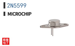2N5599