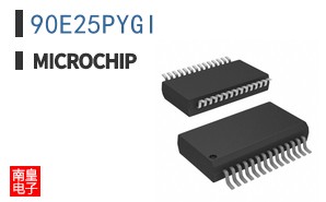 90E25PYGI