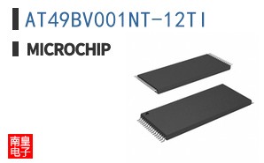 AT49BV001NT-12TI