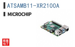 ATSAMB11-XR2100A