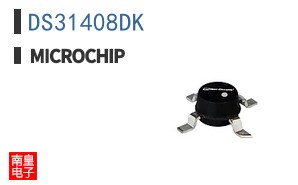 DS31408DK