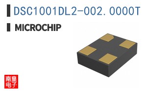 DSC1001DL2-002.0000T