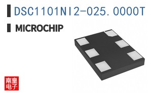 DSC1101NI2-025.0000T