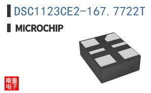DSC1123CE2-167.7722T