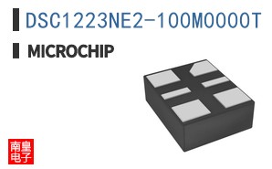 DSC1223NE2-100M0000T