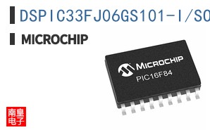 DSPIC33FJ06GS101-I/SO