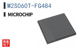 M2S060T-FG484