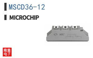 MSCD36-12
