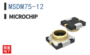 MSDM75-12