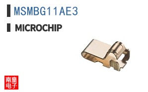 MSMBG11AE3