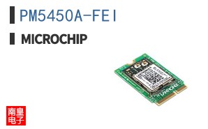 PM5450A-FEI