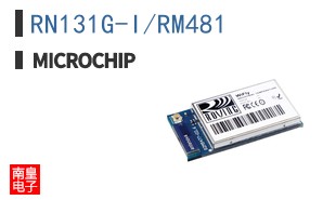 RN131G-I/RM481