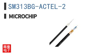 SM313BG-ACTEL-2