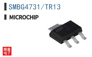 SMBG4731/TR13