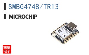 SMBG4748/TR13