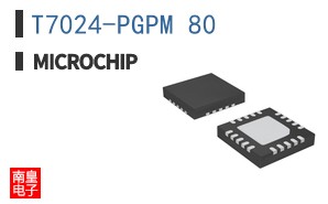 T7024-PGPM 80
