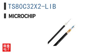 TS80C32X2-LIB
