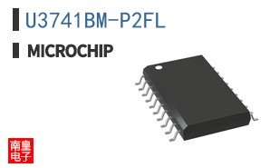 U3741BM-P2FL